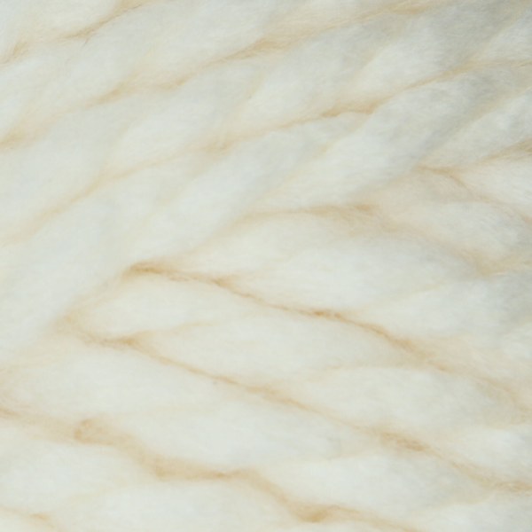 70299 close-up