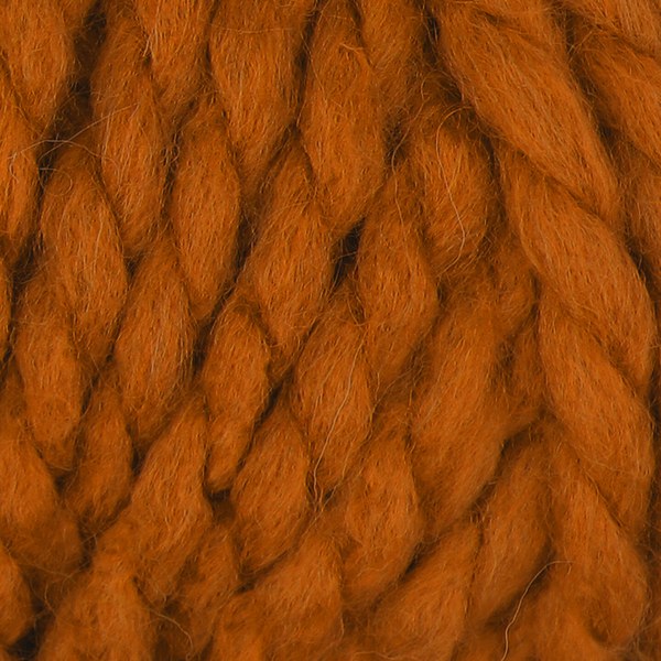 72099 close-up