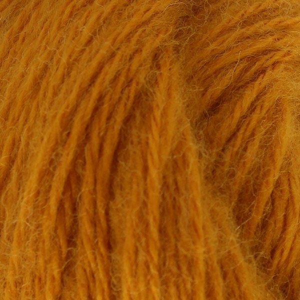 72061 close-up