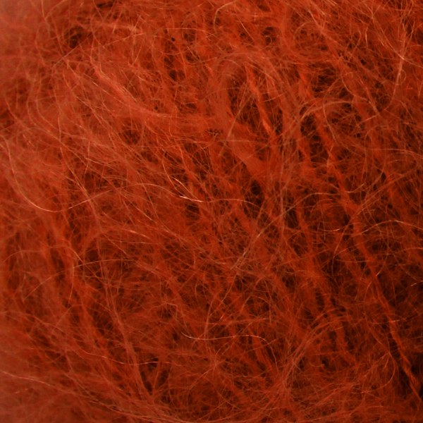 72260 close-up