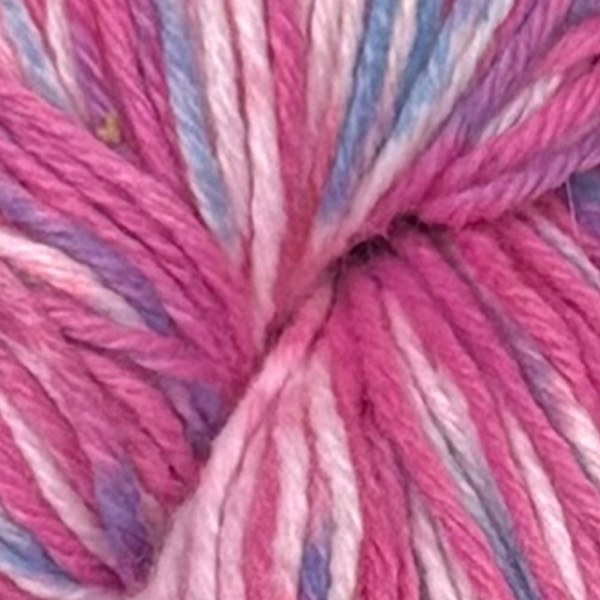 BC005 close-up