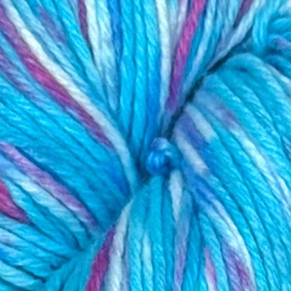 BC009 close-up
