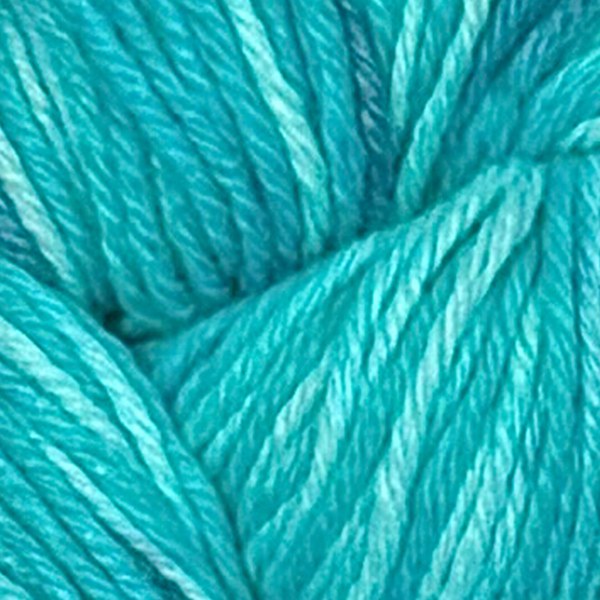 BC010 close-up