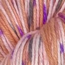 BC004