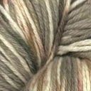 BC007