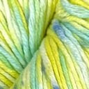 BC008