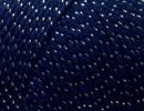 232