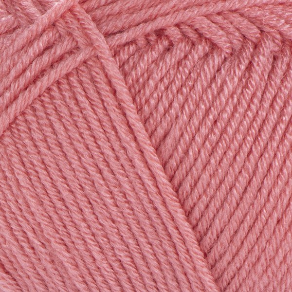 366 close-up