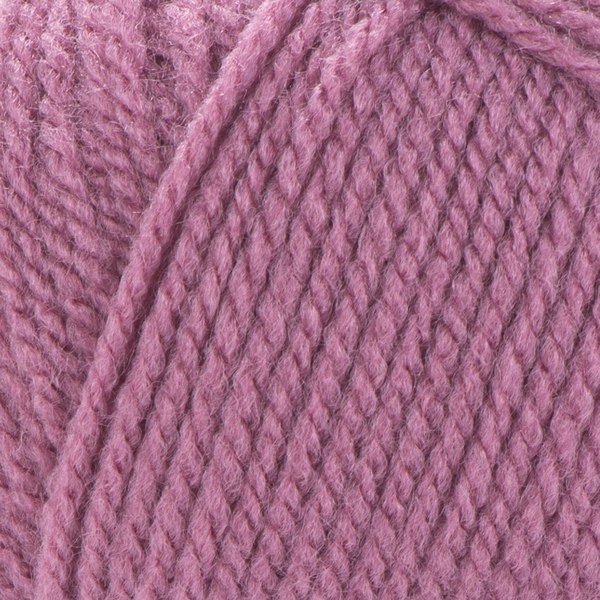 3017 close-up