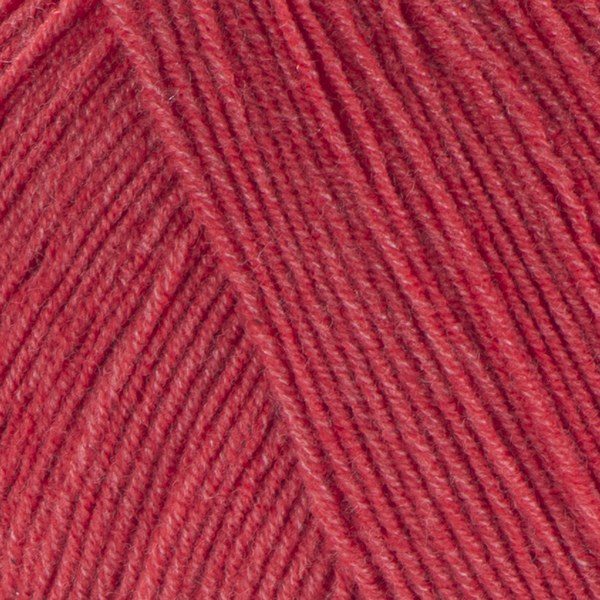 26 close-up