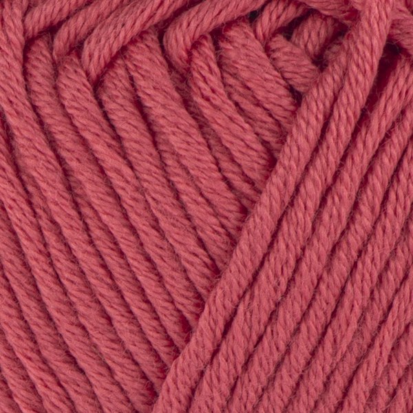 236 close-up