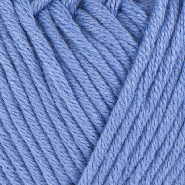 239 close-up