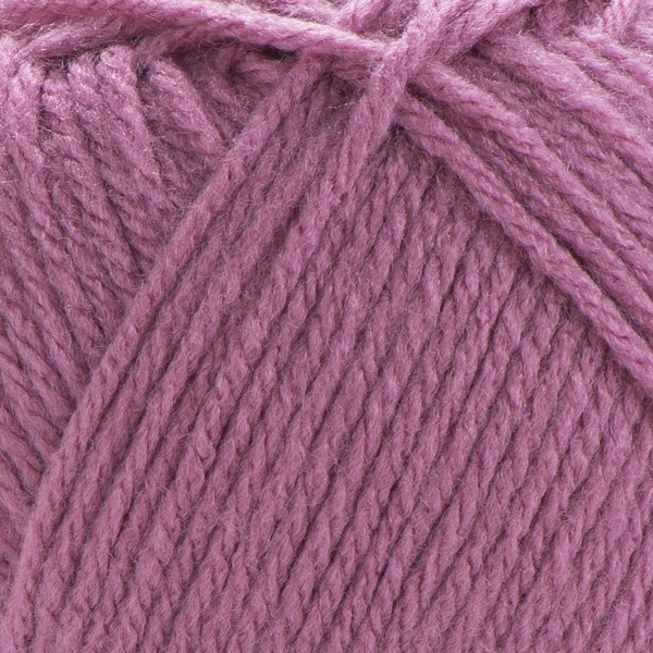 3017 close-up