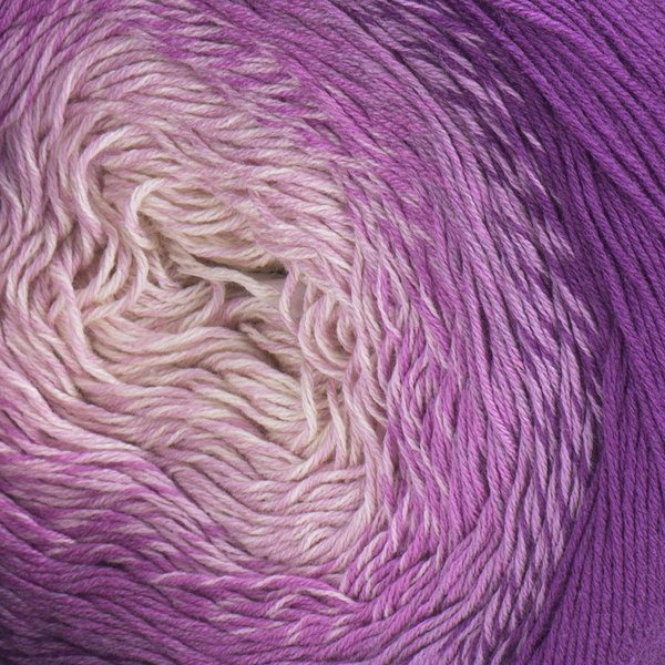 290 close-up