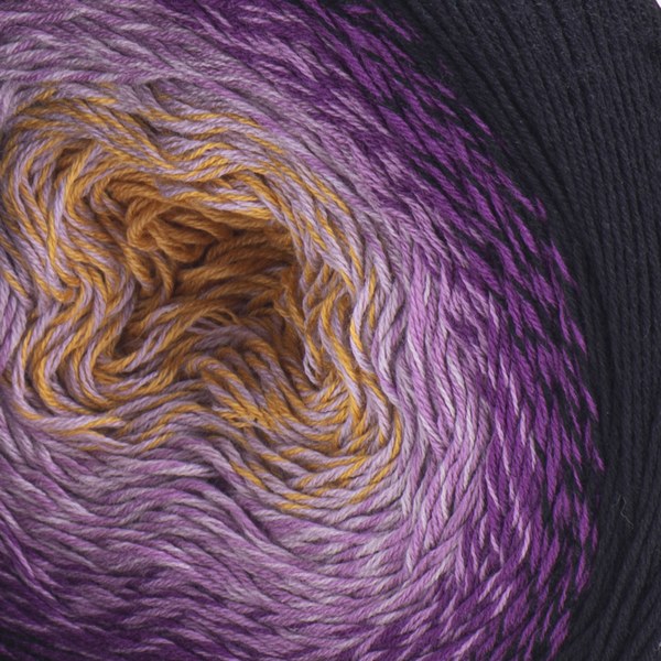 303 close-up
