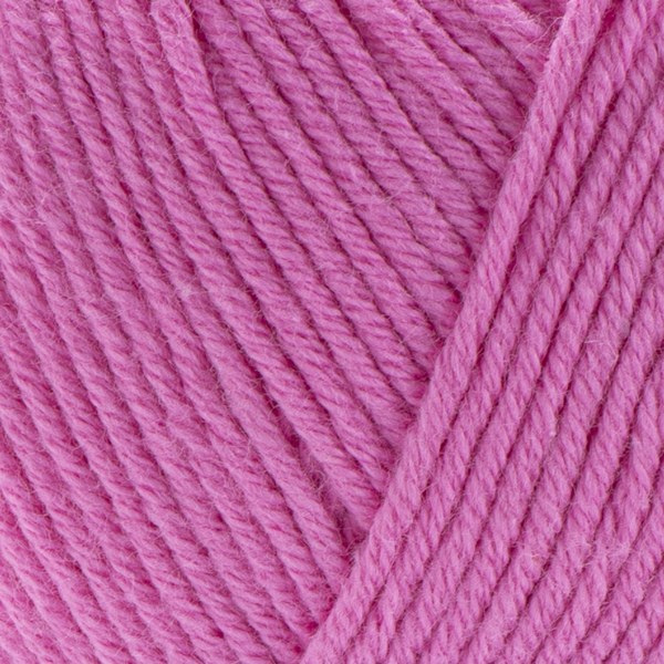 231 close-up