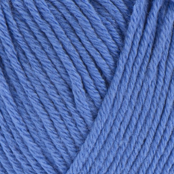 239 close-up