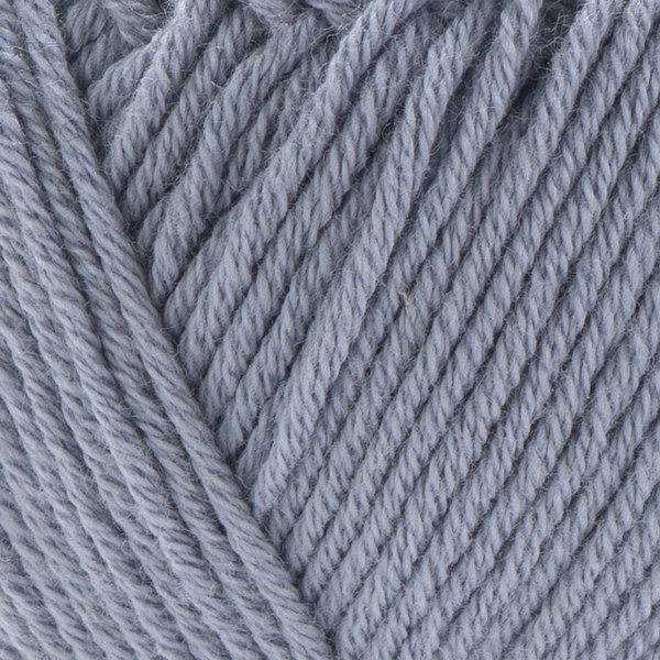 244 close-up