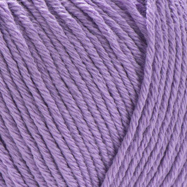 245 close-up