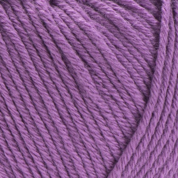 246 close-up