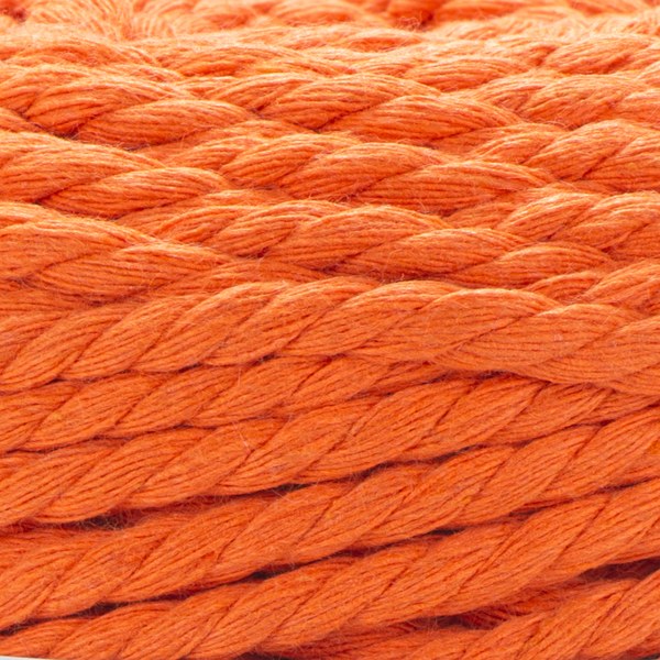 800 close-up