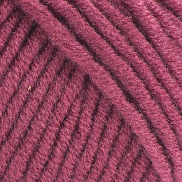 570 close-up