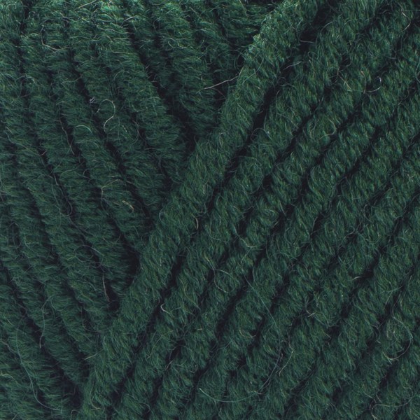 590 close-up