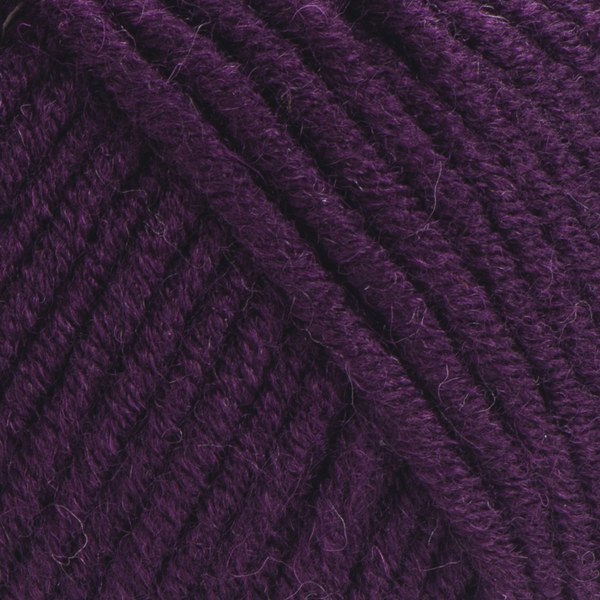 10094 close-up