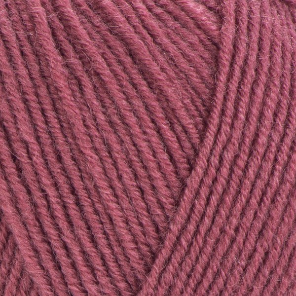 570 close-up