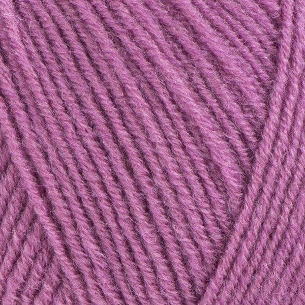 3017 close-up