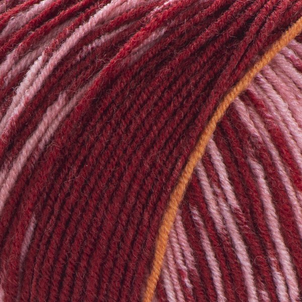 667 close-up