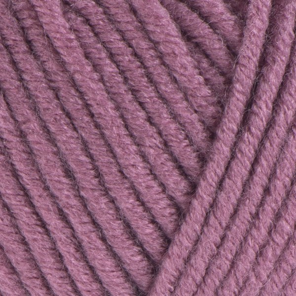 3017 close-up