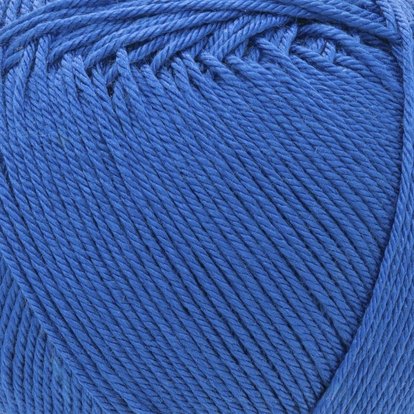 681 close-up
