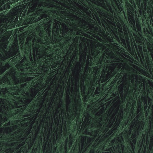200 close-up