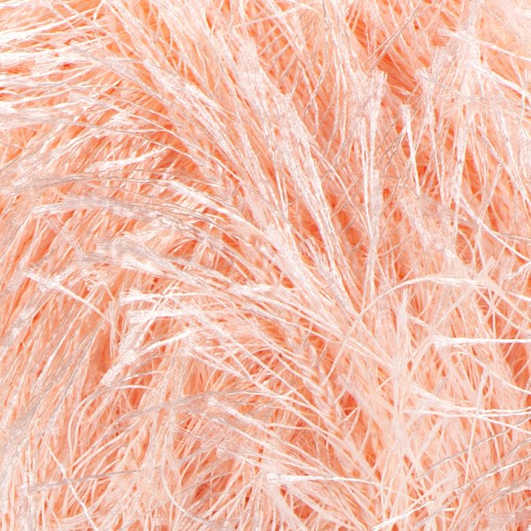 204 close-up
