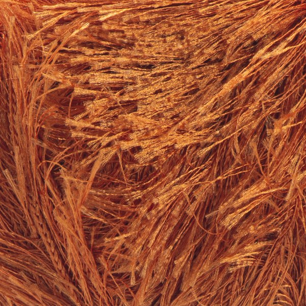 2024 close-up