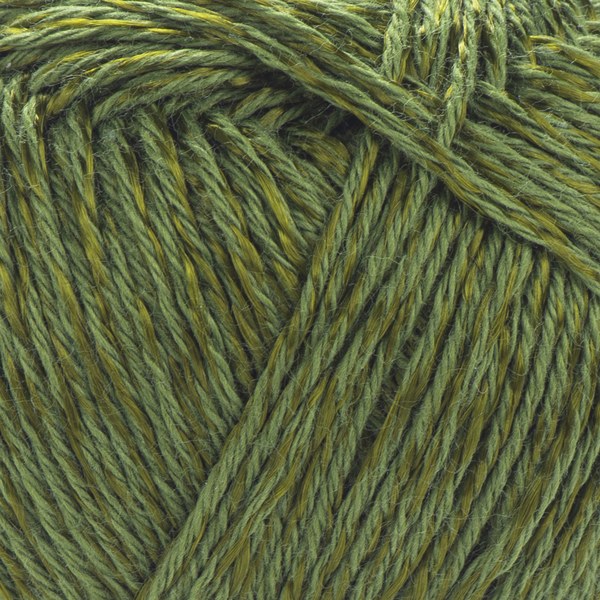 679 close-up