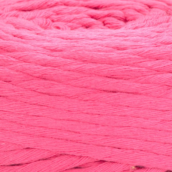 803 close-up
