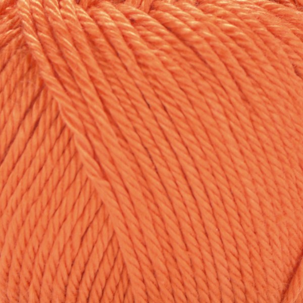 1223 close-up