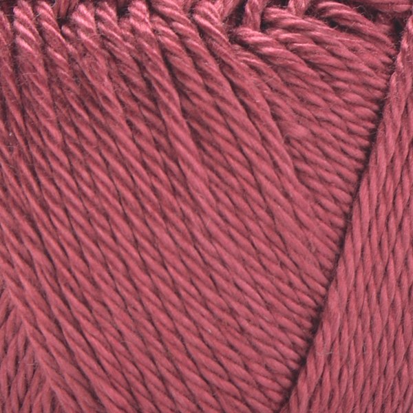 1224 close-up