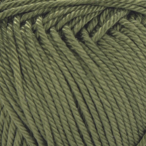 1239 close-up