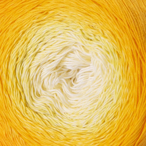 309 close-up