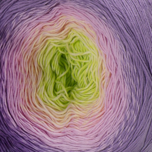 312 close-up