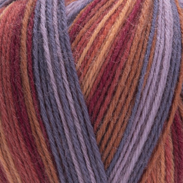 2503 close-up