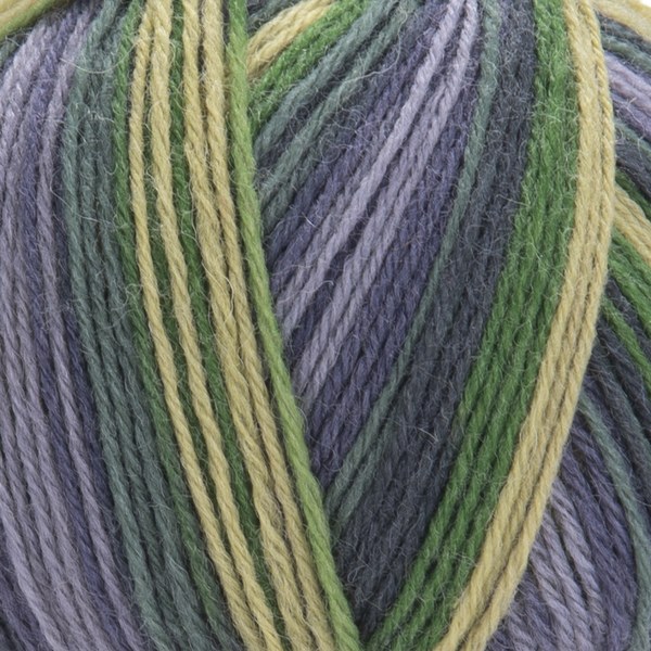2505 close-up