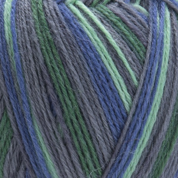 2506 close-up