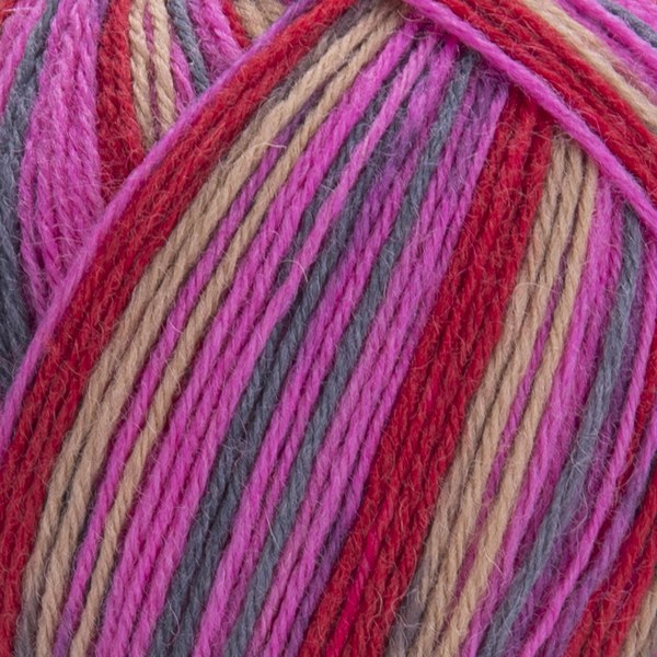 2510 close-up