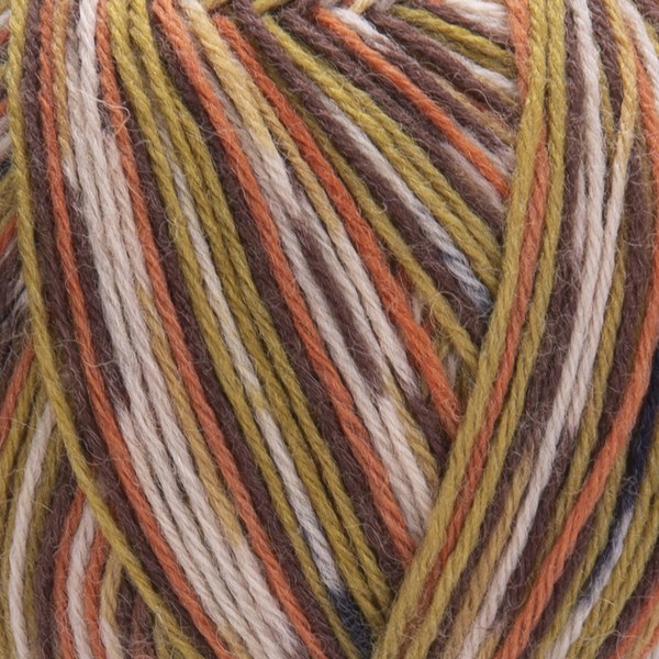 2511 close-up