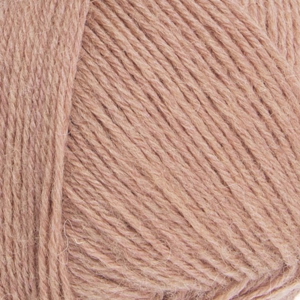 4607 close-up