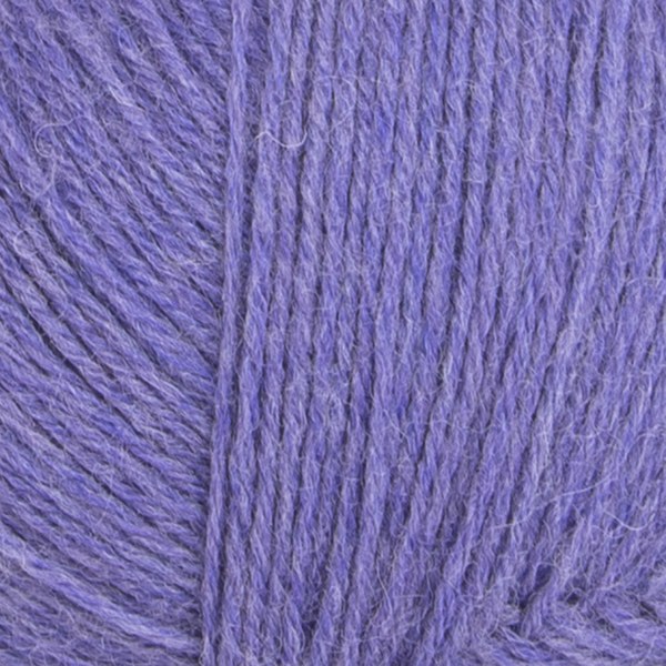 4616 close-up